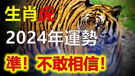 明年 龍年|2024年龍年12生肖運程分析｜事業、感情、財運、健 